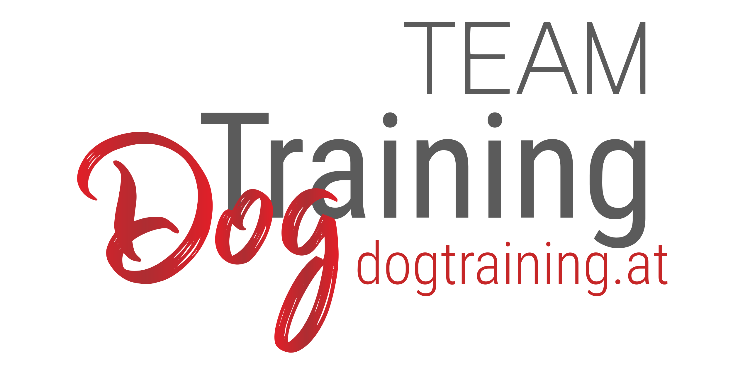 Titelbild Ausbildung zum Hundetrainer
